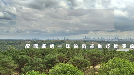 配偶征信一年前有逾期还能买房 配偶征信一年前有逾期还能买房