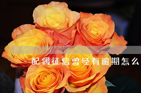 配偶征信曾经有逾期怎么解决 配偶征信曾经有逾期怎么解决