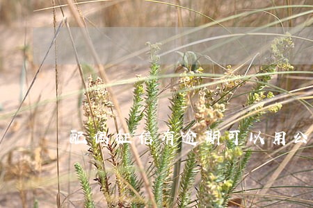 配偶征信有逾期可以用公积金吗 配偶征信有逾期可以用公积金吗