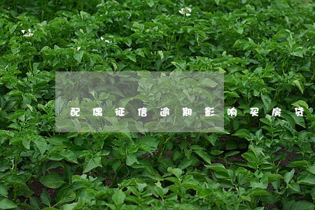 配偶征信逾期影响买房贷款吗