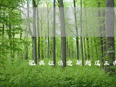 配偶征信逾期超过三次 配偶征信逾期超过三次