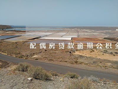 配偶房贷款逾期公积金提取 配偶房贷款逾期公积金提取