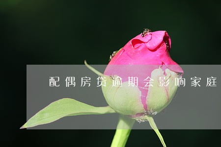 配偶房贷逾期会影响家庭房贷吗 配偶房贷逾期会影响家庭房贷吗