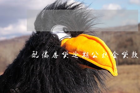 配偶房贷逾期公积金贷款 配偶房贷逾期公积金贷款
