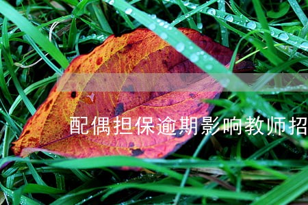 配偶担保逾期影响教师招考政审么
