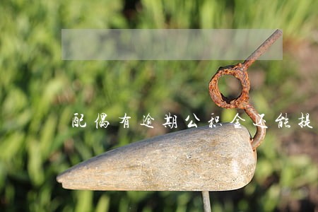 配偶有逾期公积金还能提现吗 配偶有逾期公积金还能提现吗