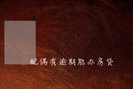 配偶有逾期能办房贷 配偶有逾期能办房贷