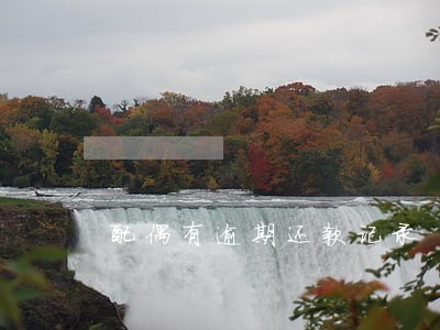 配偶有逾期还款记录 配偶有逾期还款记录