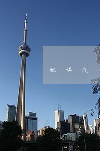 配偶汽车租赁逾期会影响丈夫吗 配偶汽车租赁逾期会影响丈夫吗