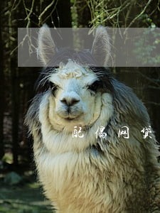 配偶网贷逾期会互相影响吗 配偶网贷逾期会互相影响吗
