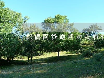配偶网贷逾期对我有什么影响 配偶网贷逾期对我有什么影响