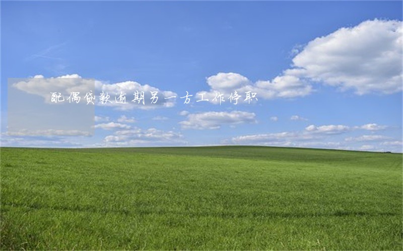 配偶贷款逾期另一方工作停职 配偶贷款逾期另一方工作停职