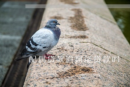 配偶贷款逾期能贷款吗 配偶贷款逾期能贷款吗