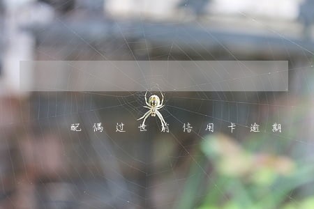 配偶过世前信用卡逾期
