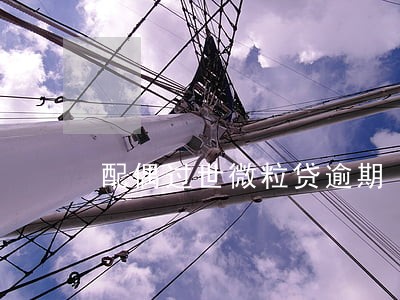 配偶过世微粒贷逾期 配偶过世微粒贷逾期