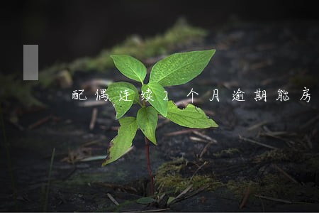 配偶连续2个月逾期能房贷吗