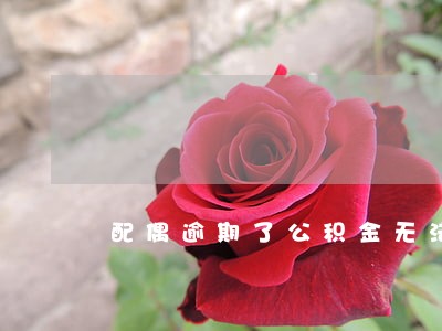 配偶逾期了公积金无法批 配偶逾期了公积金无法批