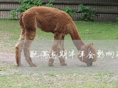 配偶逾期半年会影响买房吗 配偶逾期半年会影响买房吗