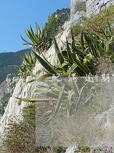 配偶逾期影响我办理工银融e贷 配偶逾期影响我办理工银融e贷