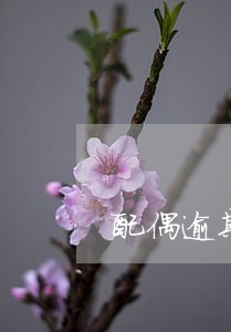 配偶逾期影响房贷怎么办 配偶逾期影响房贷怎么办