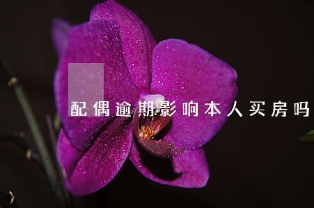 配偶逾期影响本人买房吗 配偶逾期影响本人买房吗
