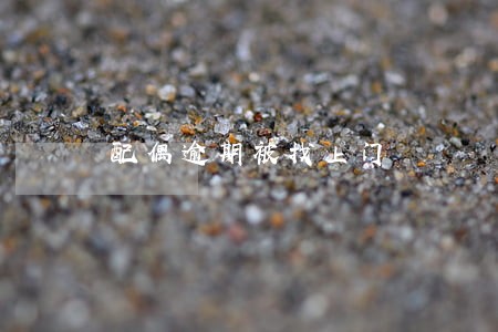 配偶逾期被找上门 配偶逾期被找上门