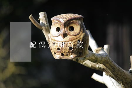 配偶逾期贷款 配偶逾期贷款