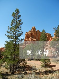 配偶银行贷款逾期一起被起诉 配偶银行贷款逾期一起被起诉