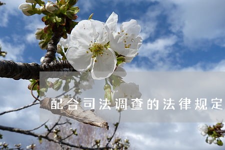 配合司法调查的法律规定
