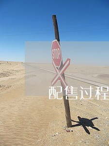 配售过程法律意见书 配售过程法律意见书