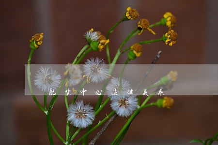 配货中心法律关系