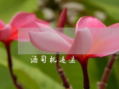 酒司机违法 酒司机违法