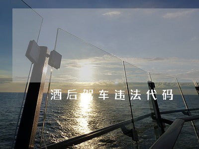 酒后驾车违法代码 酒后驾车违法代码