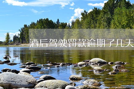 酒后驾驶罚款逾期了几天 酒后驾驶罚款逾期了几天