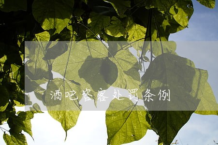 酒吧咨客处罚条例