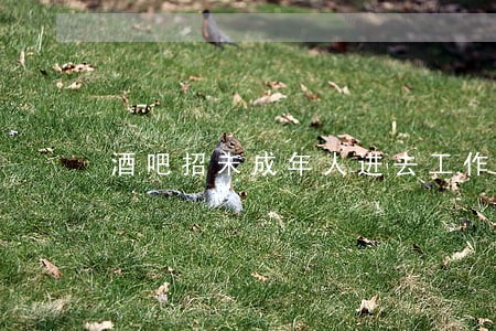 酒吧招未成年人进去工作违法嘛 酒吧招未成年人进去工作违法嘛