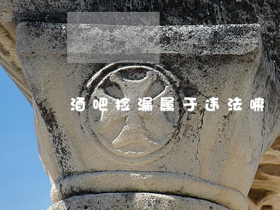 酒吧捡漏属于违法嘛
