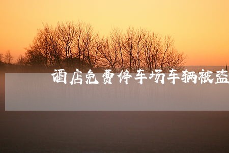 酒店免费停车场车辆被盗法规