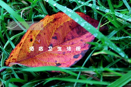 酒店卫生法规