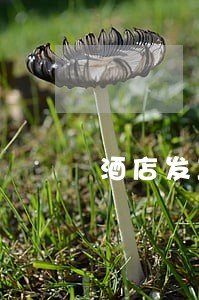 酒店发工资是现金违法不