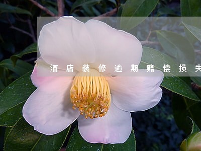 酒店装修逾期赔偿损失 酒店装修逾期赔偿损失