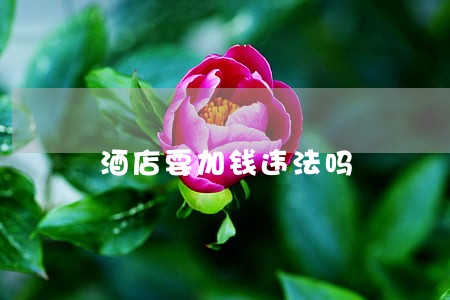 酒店要加钱违法吗 酒店要加钱违法吗