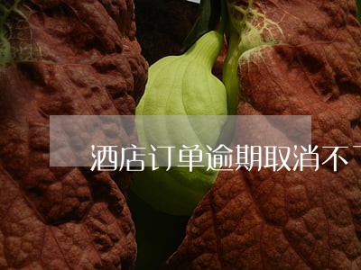 酒店订单逾期取消不了怎么办 酒店订单逾期取消不了怎么办