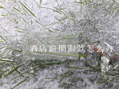 酒店逾期退款怎么办 酒店逾期退款怎么办