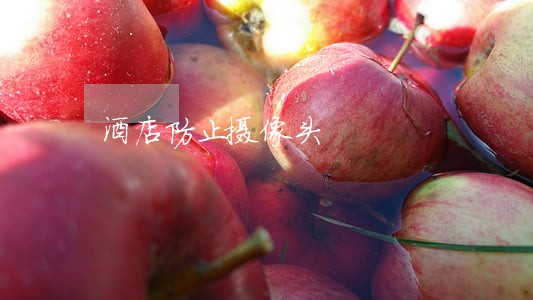 酒店防止摄像头