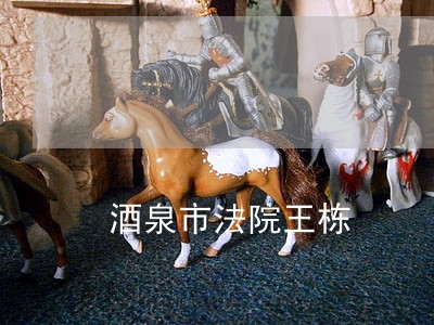 酒泉市法院王栋 酒泉市法院王栋