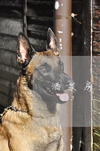 酒泉房地产律师哪家好 酒泉房地产律师哪家好