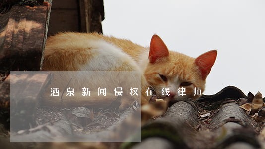 酒泉新闻侵权在线律师