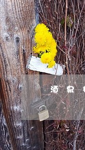 酒泉机动车逾期未审查询 酒泉机动车逾期未审查询