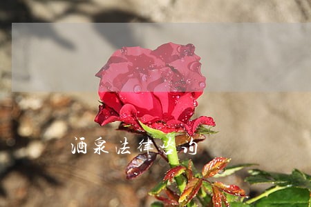 酒泉法律咨询 酒泉法律咨询